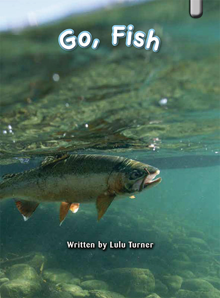 Key Links Silver, Level 23-24: Go Fish