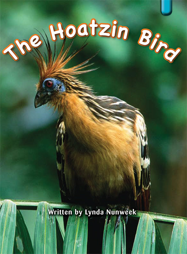 Key Links Turquoise, Level 17-18: The Hoatzin Bird