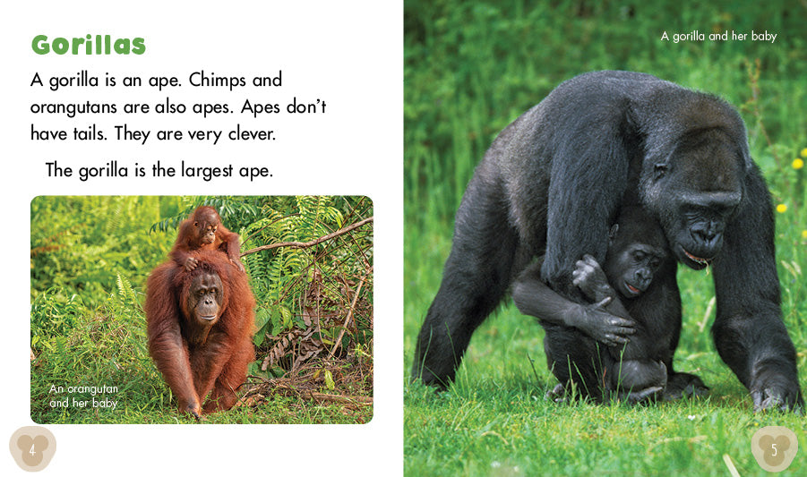 Sunshine Starters Level 17:The Gibbon Family
