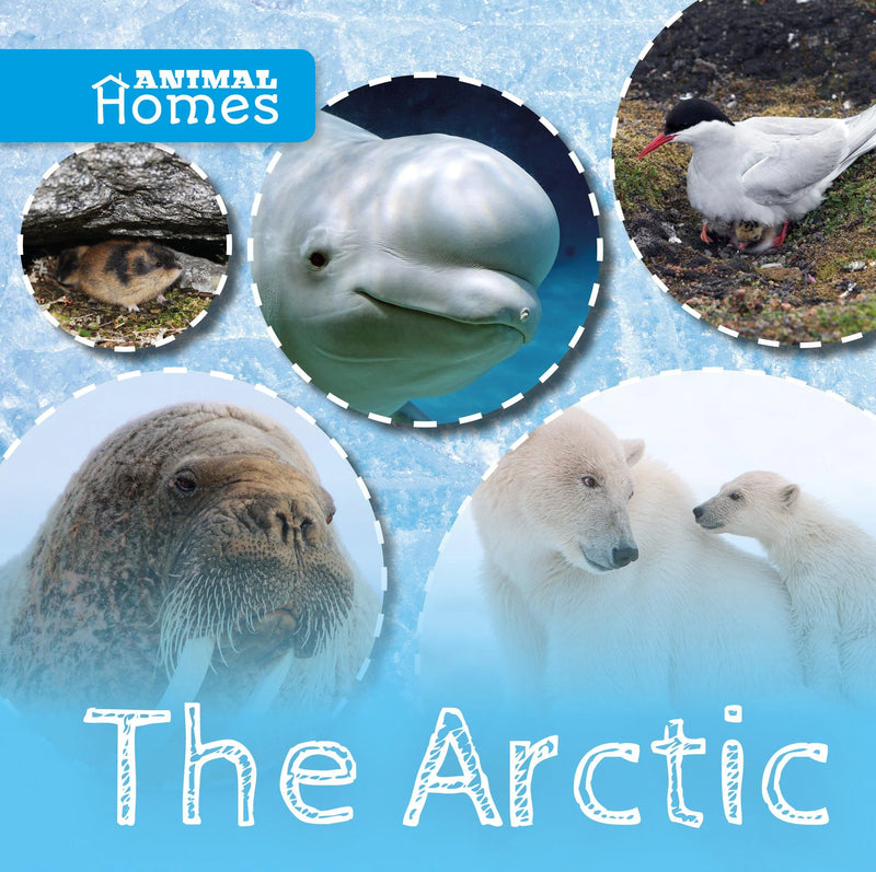Animal Homes:The Artic(HB)