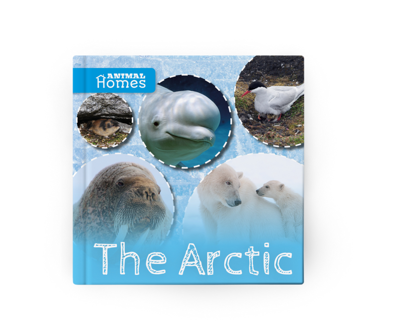 Animal Homes: The Arctic