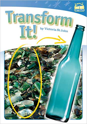 Dragonflies(L19-20): Transform It!