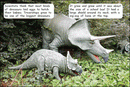Red Rocket Fluency Level 2 Non Fiction B (Level 17): Triceratops