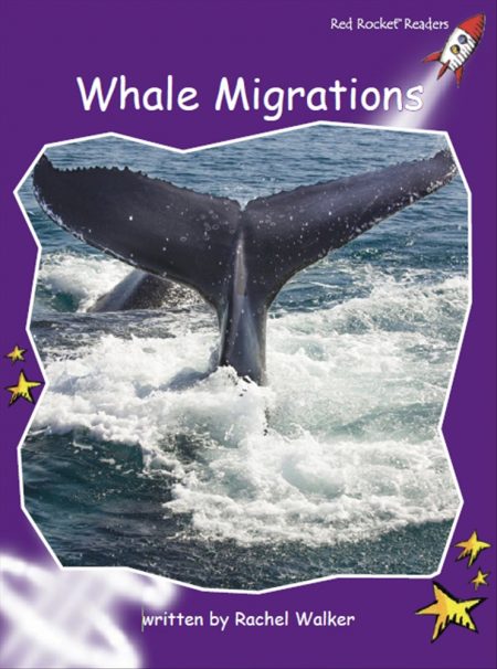 Red Rocket Fluency Level 3 Non Fiction C (Level 20): Whale Migrations