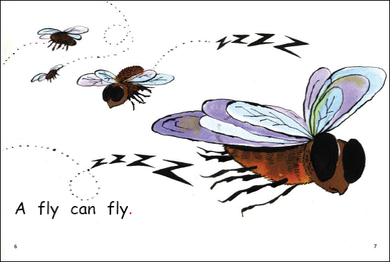 Red Rocket Emergent Fiction A (Level 2): What Can Fly?