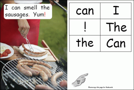 Red Rocket Emergent Non Fiction B (Level 1): What Can You Smell?