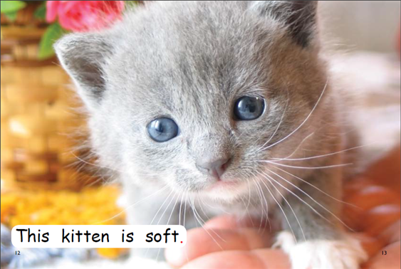 Red Rocket Emergent Non Fiction C (Level 1): What Is Soft?