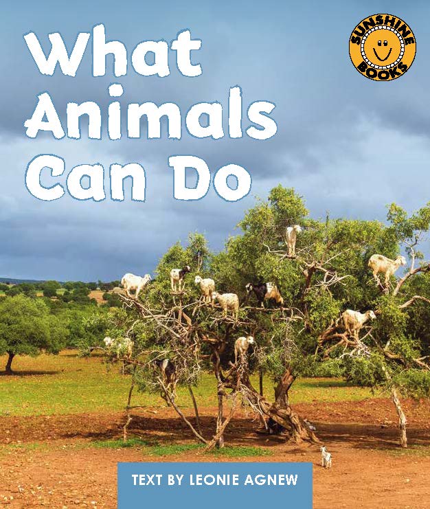 Sunshine Starters Level 12: What Animal Can Do?