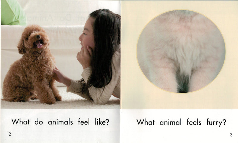 Sunshine Starters Level 4: What Do Animals Feel Like?