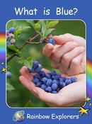 Red Rocket Rainbow Explorers (Level 2): What is Blue?
