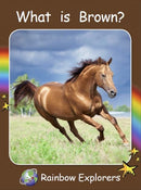 Red Rocket Rainbow Explorers (Level 2): What is Brown?
