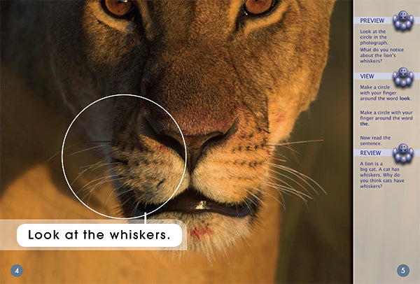 Key Links Magenta (Book 7, Level 1): Whiskers