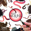 The Lives of Mini Beasts:Wiggly Worms(HB)