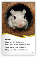 A House for a Mouse(Fables & The Real World)