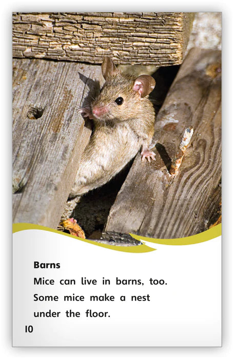 A House for a Mouse(Fables & The Real World)