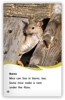 A House for a Mouse(Fables & The Real World)