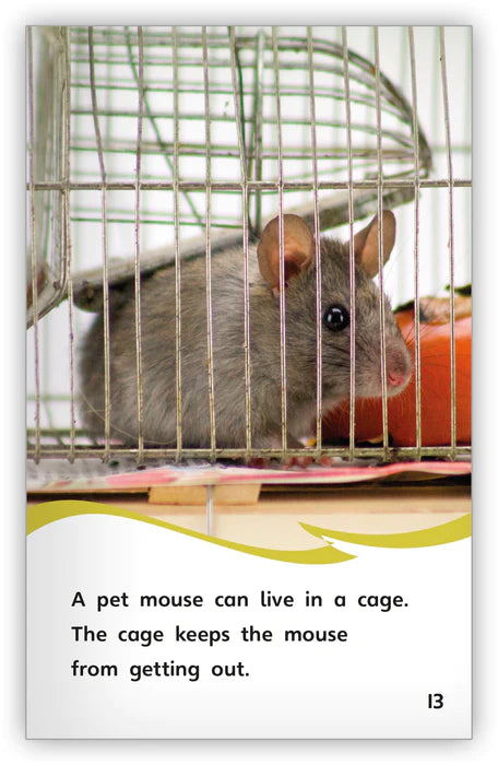 A House for a Mouse(Fables & The Real World)
