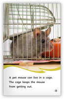 A House for a Mouse(Fables & The Real World)