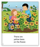 Kid Lit Level C(Weather)A Rainbow of Colors