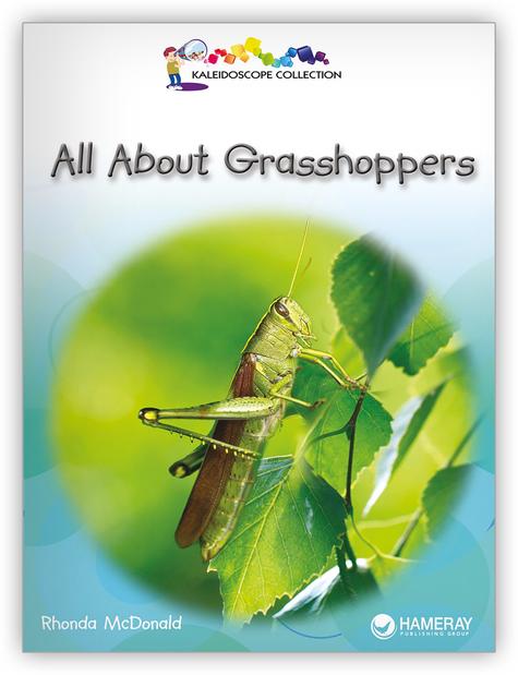 Kaleidoscope Big Book GR-C : All About Grasshopper