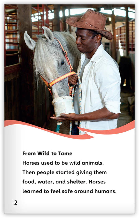 All About Horses (Fables & The Real World)