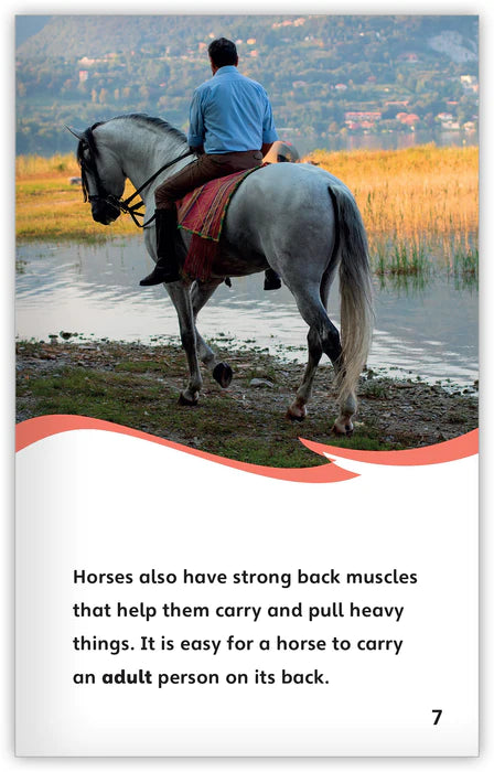All About Horses (Fables & The Real World)