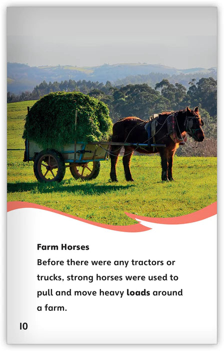 All About Horses (Fables & The Real World)
