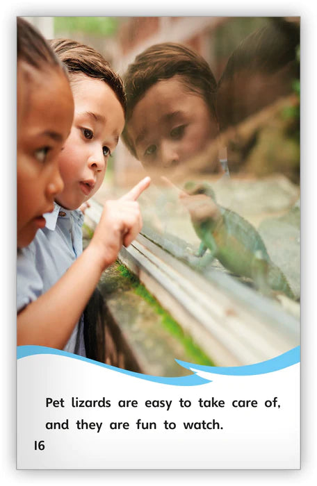 All About Lizards (Fables & The Real World)