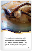 All About Pearls (Fables & The Real World)