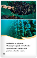 All About Pearls (Fables & The Real World)