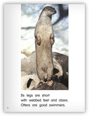 Kaleidoscope GR-J: Amazing Otters