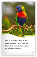 Animal Colorings (Fables & The Real World)