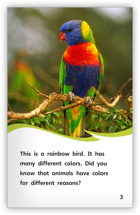 Animal Colorings (Fables & The Real World)