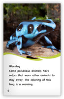 Animal Colorings (Fables & The Real World)