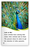 Animal Colorings (Fables & The Real World)