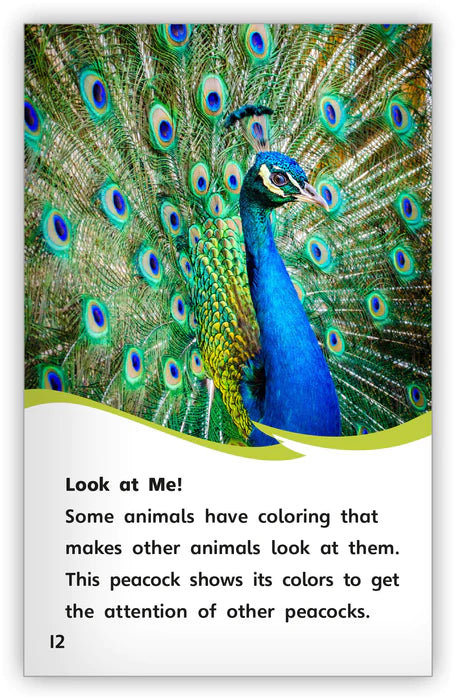 Animal Colorings (Fables & The Real World)