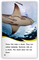 Animal Helpers (Fables & The Real World)