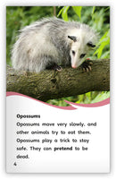 Animal Tricksters (Fables & The Real World)