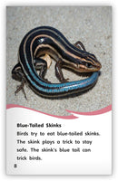 Animal Tricksters (Fables & The Real World)