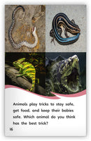 Animal Tricksters (Fables & The Real World)