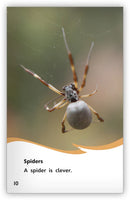 Animals Are Clever (Fables & The Real World)