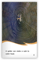 Animals Are Clever (Fables & The Real World)