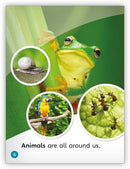 My World: Animal Anywhere Big Book