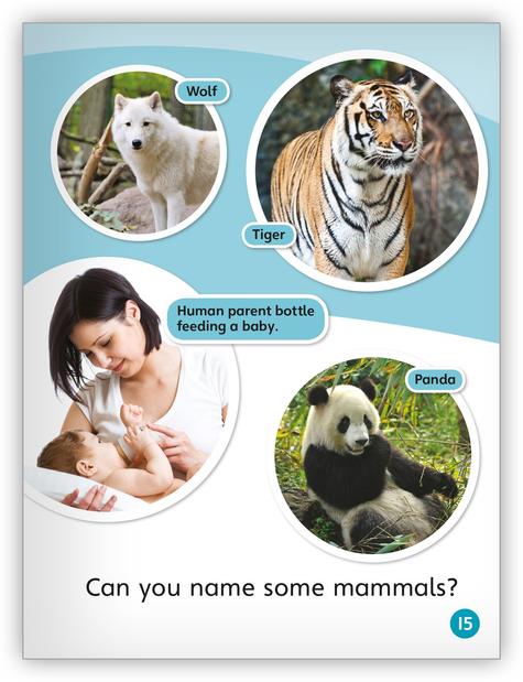 My World: Animal Anywhere Big Book