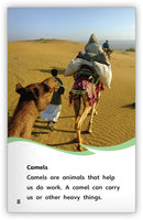 Animals That Work for Us (Fables & The Real World)