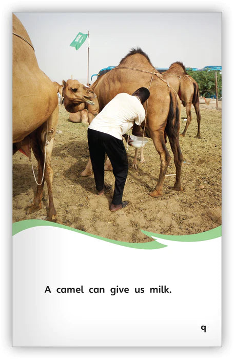 Animals That Work for Us (Fables & The Real World)