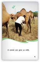 Animals That Work for Us (Fables & The Real World)