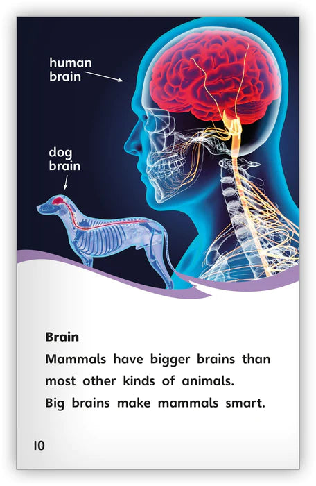 Are You a Mammal?(Fables & The Real World)