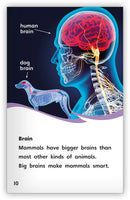 Are You a Mammal?(Fables & The Real World)