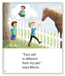 Kid Lit Level D(Culture)At Jacob's House